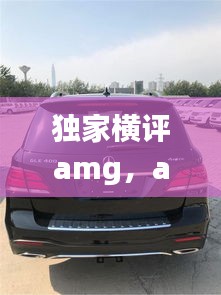 獨(dú)家橫評amg，amg 價(jià)位 