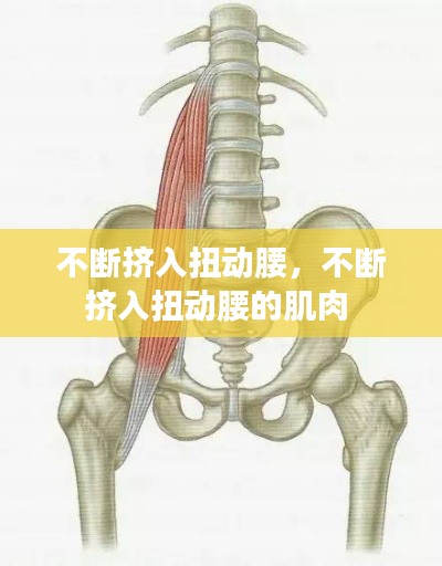 不斷擠入扭動腰，不斷擠入扭動腰的肌肉 