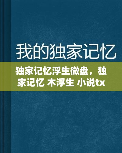 獨(dú)家記憶浮生微盤，獨(dú)家記憶 木浮生 小說txt 