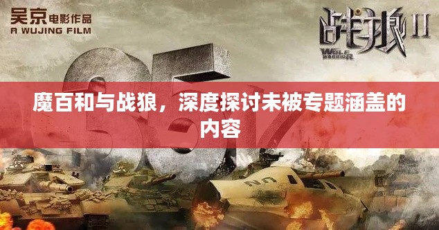 魔百和與戰(zhàn)狼，深度探討未被專題涵蓋的內(nèi)容