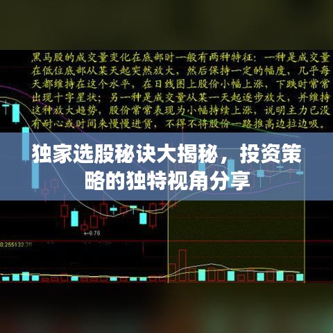 獨家選股秘訣大揭秘，投資策略的獨特視角分享