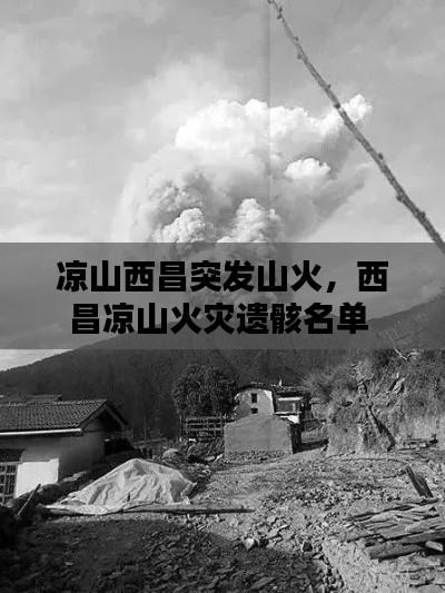 涼山西昌突發(fā)山火，西昌涼山火災(zāi)遺骸名單 