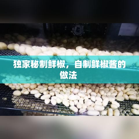 獨家秘制鮮椒，自制鮮椒醬的做法 