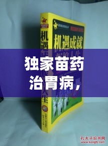 獨家苗藥治胃病，古老智慧綻放現(xiàn)代光芒