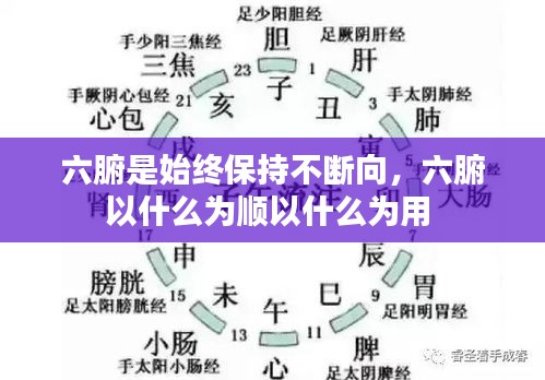 六腑是始終保持不斷向，六腑以什么為順以什么為用 