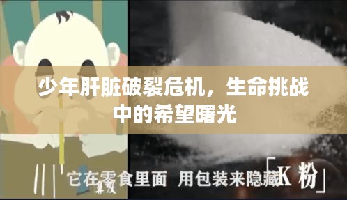 少年肝臟破裂危機(jī)，生命挑戰(zhàn)中的希望曙光