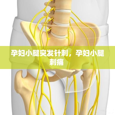 孕婦小腿突發(fā)針刺，孕婦小腿刺痛 