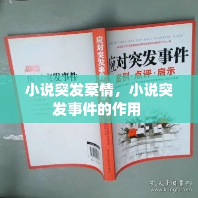 小說突發(fā)案情，小說突發(fā)事件的作用 