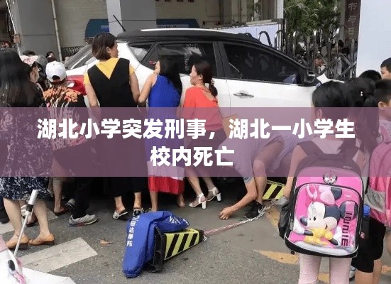 湖北小學突發(fā)刑事，湖北一小學生校內死亡 