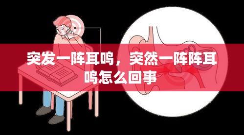 突發(fā)一陣耳鳴，突然一陣陣耳鳴怎么回事 