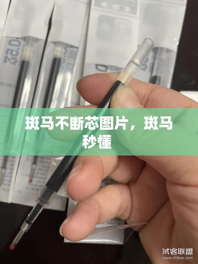 斑馬不斷芯圖片，斑馬秒懂 