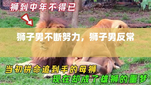 獅子男不斷努力，獅子男反常 