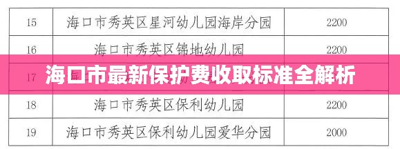 海口市最新保護費收取標準全解析