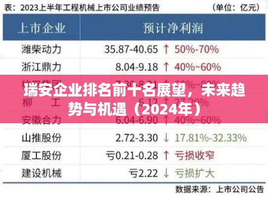 瑞安企業(yè)排名前十名展望，未來趨勢與機遇（2024年）