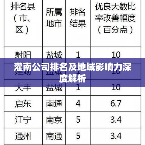 灌南公司排名及地域影響力深度解析