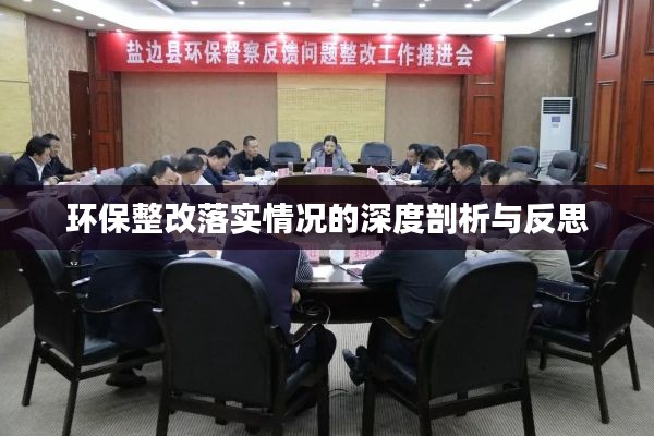 環(huán)保整改落實情況的深度剖析與反思