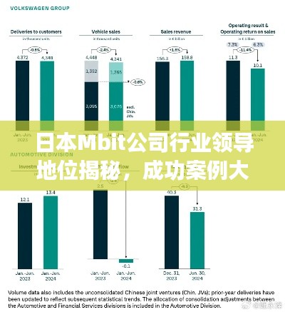 日本Mbit公司行業(yè)領導地位揭秘，成功案例大解析