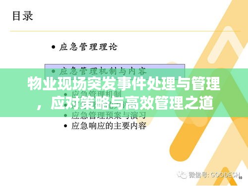 物業(yè)現(xiàn)場突發(fā)事件處理與管理，應(yīng)對策略與高效管理之道