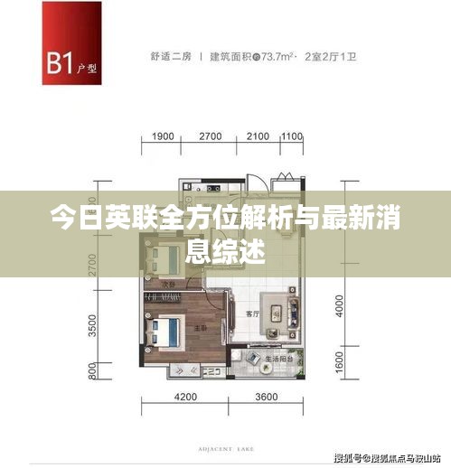 今日英聯(lián)全方位解析與最新消息綜述