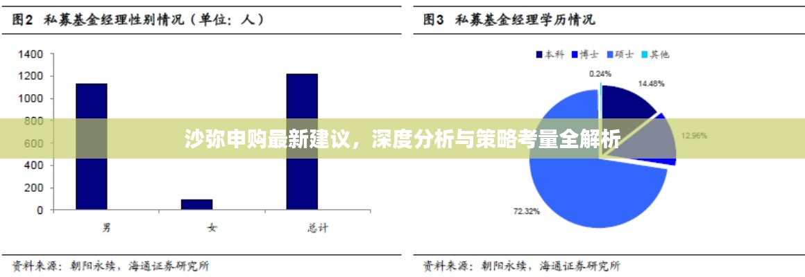 沙彌申購最新建議，深度分析與策略考量全解析