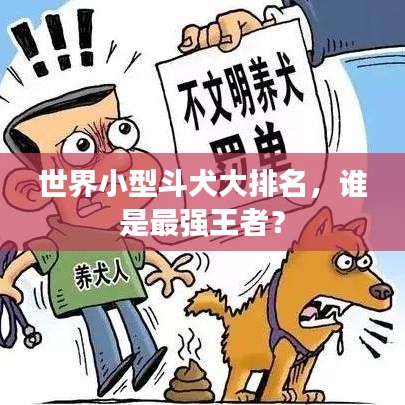 世界小型斗犬大排名，誰是最強(qiáng)王者？