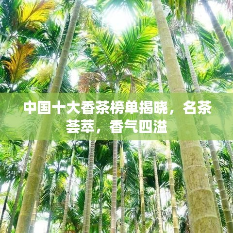 中國十大香茶榜單揭曉，名茶薈萃，香氣四溢