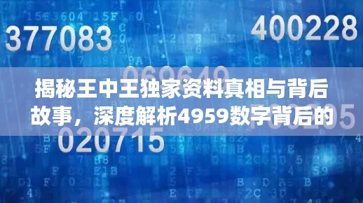 揭秘王中王獨家資料真相與背后故事，深度解析4959數(shù)字背后的秘密