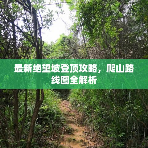 最新絕望坡登頂攻略，爬山路線圖全解析