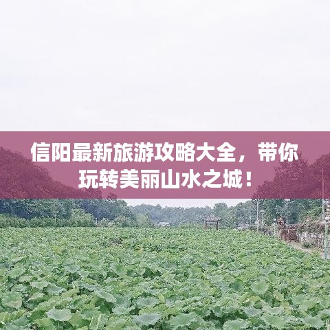 信陽最新旅游攻略大全，帶你玩轉(zhuǎn)美麗山水之城！