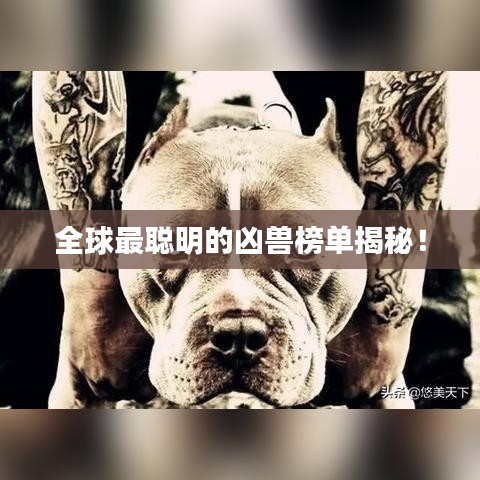 全球最聰明的兇獸榜單揭秘！