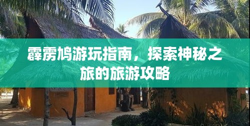 霹靂鳩游玩指南，探索神秘之旅的旅游攻略