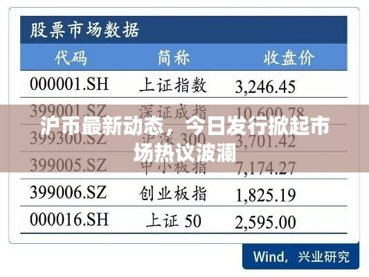 滬幣最新動(dòng)態(tài)，今日發(fā)行掀起市場(chǎng)熱議波瀾