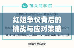 紅姐爭議背后的挑戰(zhàn)與應對策略，公眾人物的必修課