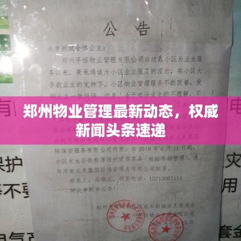 鄭州物業(yè)管理最新動(dòng)態(tài)，權(quán)威新聞?lì)^條速遞