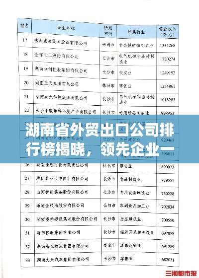 湖南省外貿(mào)出口公司排行榜揭曉，領(lǐng)先企業(yè)一覽