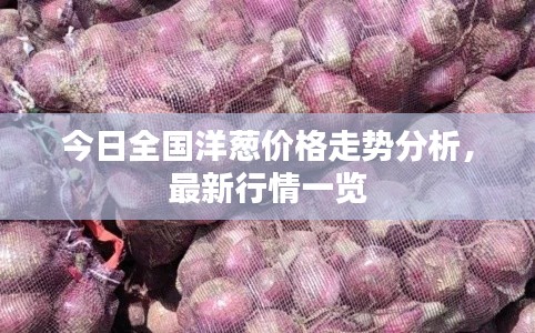 今日全國洋蔥價格走勢分析，最新行情一覽