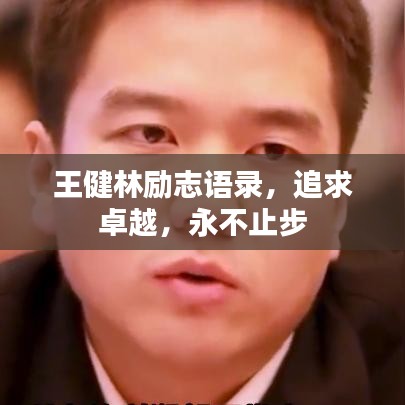 王健林勵志語錄，追求卓越，永不止步