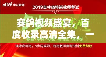 賽鴿視頻盛宴，百度收錄高清全集，一睹為快！