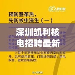 深圳凱利核電招聘最新信息解析及求職指南