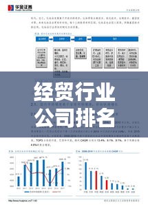 經貿行業(yè)公司排名大揭秘，深度解析企業(yè)影響力！