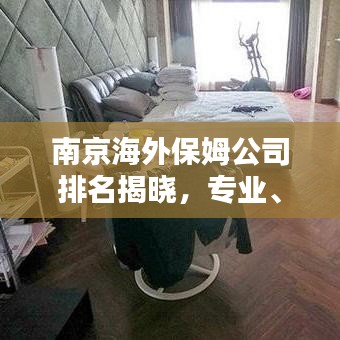 南京海外保姆公司排名揭曉，專業(yè)、信譽(yù)與服務(wù)的全方位考量