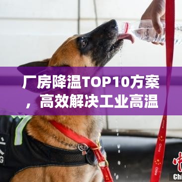 廠房降溫TOP10方案，高效解決工業(yè)高溫，助力生產(chǎn)環(huán)境優(yōu)化