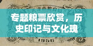 專題糧票欣賞，歷史印記與文化瑰寶的獨特魅力