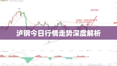 2025年1月 第6頁