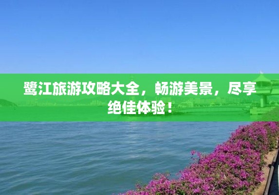 鷺江旅游攻略大全，暢游美景，盡享絕佳體驗！