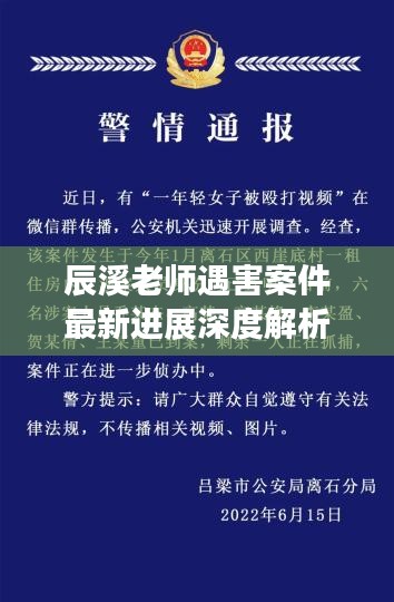 辰溪老師遇害案件最新進展深度解析，事件視頻曝光與影響探究