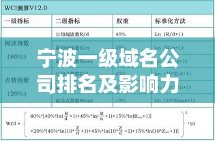 寧波一級域名公司排名及影響力深度解析