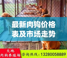 最新肉狗價格表及市場走勢分析，多重因素揭秘價格浮動原因