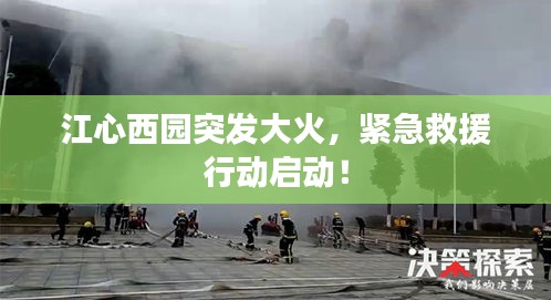 江心西園突發(fā)大火，緊急救援行動啟動！