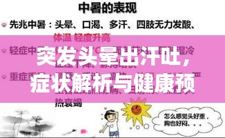 突發(fā)頭暈出汗吐，癥狀解析與健康預(yù)警提示